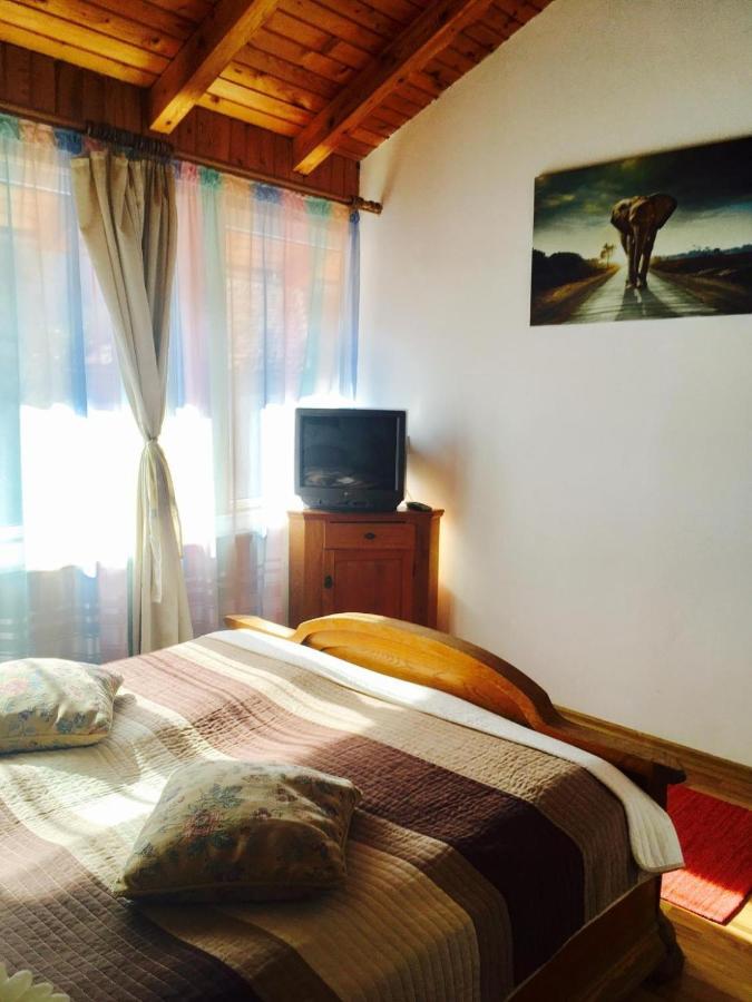 Rolling Stone Hostel Braşov Esterno foto